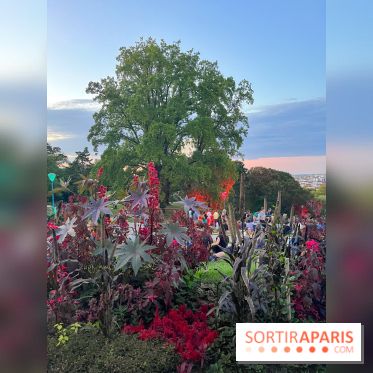 Festival Silhouette au parc de la Butte du Chapeau Rouge - image00006