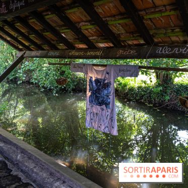 Folies lavoirs, les lavoirs des Yvelines et de la Vallée de Chevreuse accueillent l'art contemporain -  A7C0291