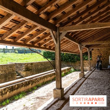 Folies lavoirs, les lavoirs des Yvelines et de la Vallée de Chevreuse accueillent l'art contemporain -  A7C0288