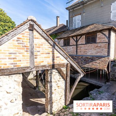 Folies lavoirs, les lavoirs des Yvelines et de la Vallée de Chevreuse accueillent l'art contemporain -  A7C0237