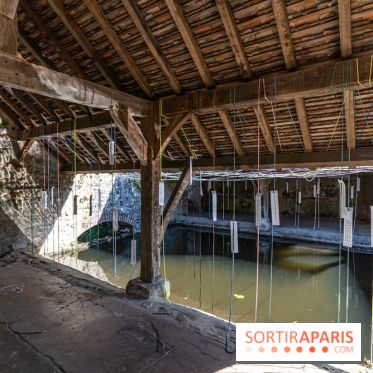 Folies lavoirs, les lavoirs des Yvelines et de la Vallée de Chevreuse accueillent l'art contemporain -  A7C0233