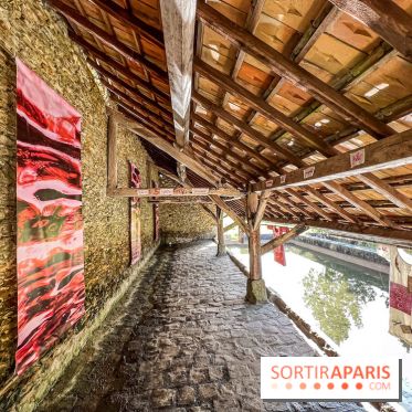 Folies lavoirs, les lavoirs des Yvelines et de la Vallée de Chevreuse accueillent l'art contemporain - IMG 0852