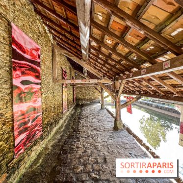 Folies lavoirs, les lavoirs des Yvelines et de la Vallée de Chevreuse accueillent l'art contemporain - IMG 0851