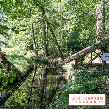 Folies lavoirs, les lavoirs des Yvelines et de la Vallée de Chevreuse accueillent l'art contemporain -  A7C0212