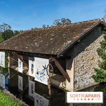 Folies lavoirs, les lavoirs des Yvelines et de la Vallée de Chevreuse accueillent l'art contemporain -  A7C0204