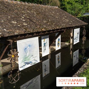 Folies lavoirs, les lavoirs des Yvelines et de la Vallée de Chevreuse accueillent l'art contemporain -  A7C0197