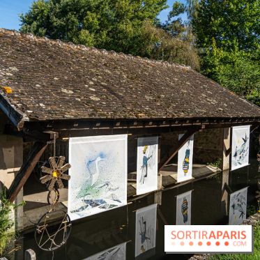 Folies lavoirs, les lavoirs des Yvelines et de la Vallée de Chevreuse accueillent l'art contemporain -  A7C0196