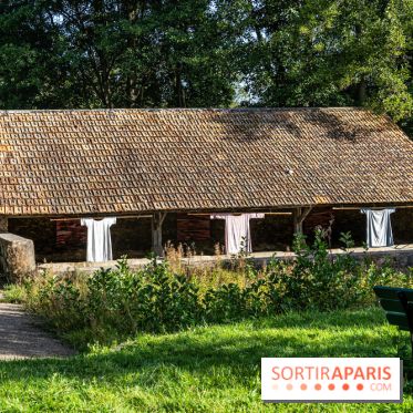 Folies lavoirs, les lavoirs des Yvelines et de la Vallée de Chevreuse accueillent l'art contemporain -  A7C0184