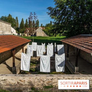 Folies lavoirs, les lavoirs des Yvelines et de la Vallée de Chevreuse accueillent l'art contemporain -  A7C0170
