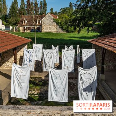 Folies lavoirs, les lavoirs des Yvelines et de la Vallée de Chevreuse accueillent l'art contemporain -  A7C0169