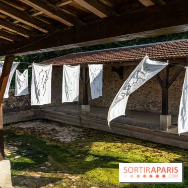 Folies lavoirs, les lavoirs des Yvelines et de la Vallée de Chevreuse accueillent l'art contemporain -  A7C0167