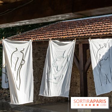 Folies lavoirs, les lavoirs des Yvelines et de la Vallée de Chevreuse accueillent l'art contemporain -  A7C0165