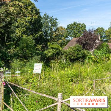 Village de Rochefort en Yvelines -  A7C0252