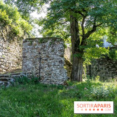 Village de Rochefort en Yvelines -  A7C0262