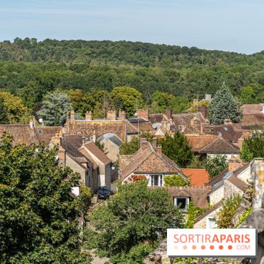 Village de Rochefort en Yvelines -  A7C0270