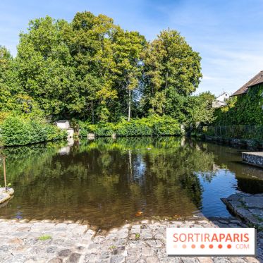 Village de Rochefort en Yvelines -  A7C0236