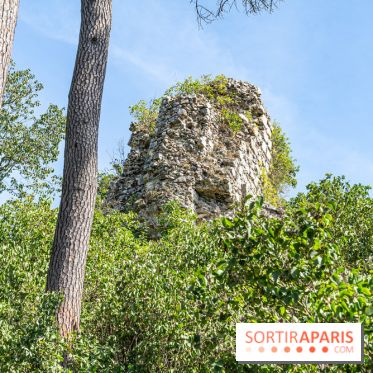 Village de Rochefort en Yvelines -  A7C0273