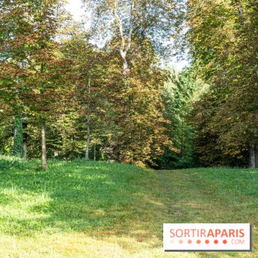 Village de Dampierre en Yvelines  -  A7C0145