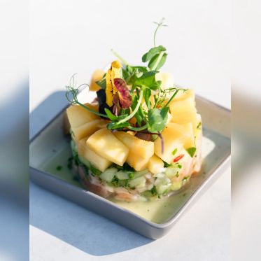 Le Son de la Terre - Son de la Terre 235