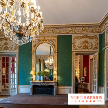 La Fondation Simone et Cino Del Duca - Hôtel Emile Pereire -  A7C0591