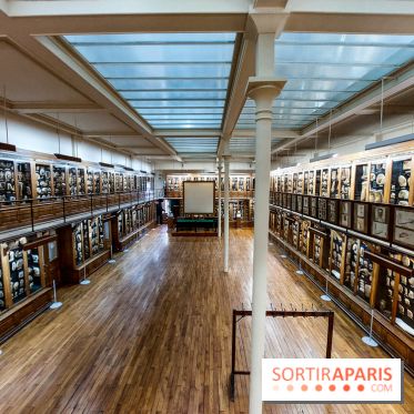 Musée des Moulages à Paris, nos photos - 20230905 120305