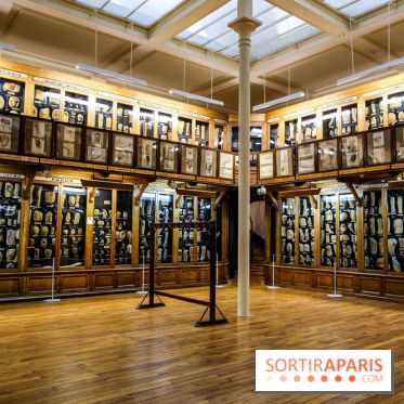 Musée des Moulages à Paris, nos photos - IMG 0812