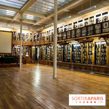 Musée des Moulages à Paris, nos photos - IMG 0814