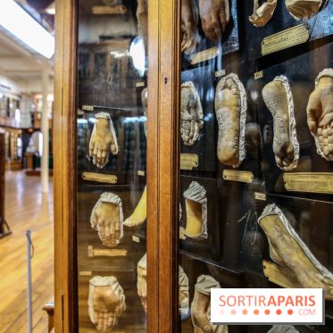 Musée des Moulages à Paris, nos photos - IMG 0816