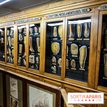 Musée des Moulages à Paris, nos photos - IMG 0834