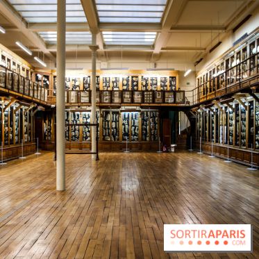 Musée des Moulages à Paris, nos photos - IMG 0843