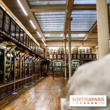 Musée des Moulages à Paris, nos photos - IMG 0845