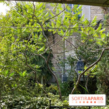 Le Petit Cormier, Montigny-sur-Loing - image00012