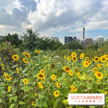 Le Grand Parc des Docks, à Saint-Ouen