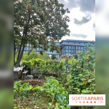 Le Grand Parc des Docks, à Saint-Ouen - image00220