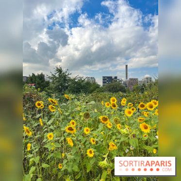 Le Grand Parc des Docks, à Saint-Ouen