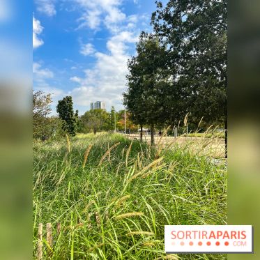 Le Grand Parc des Docks, à Saint-Ouen