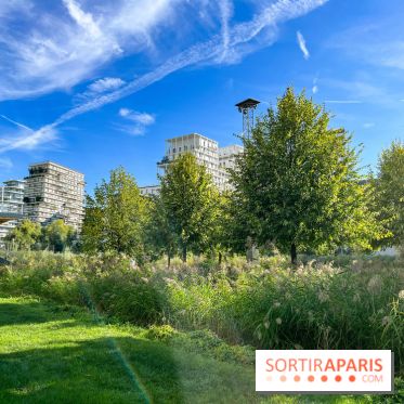 Le parc Martin Luther King