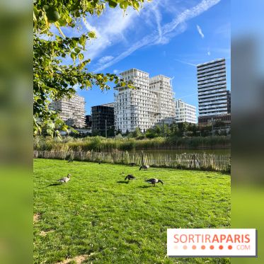 Le parc Martin Luther King