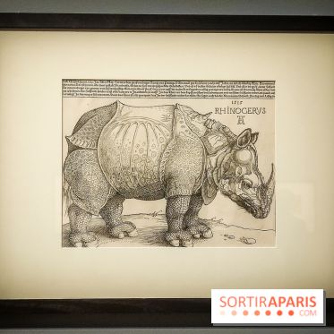 Trésors en noir et blanc, l'exposition des grands maîtres de l'estampe au Petit Palais - nos photos