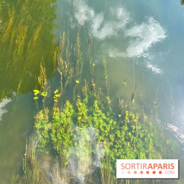 Motigny-sur-Loing