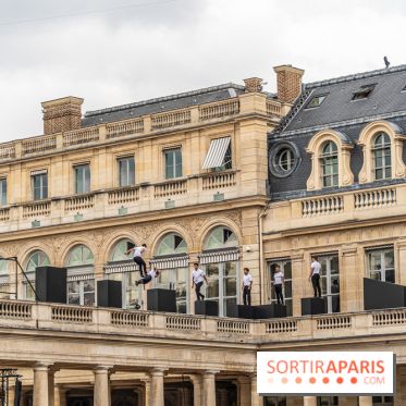 Horizon, le spectacle dans la cours du Palais Royal -  A7C0690