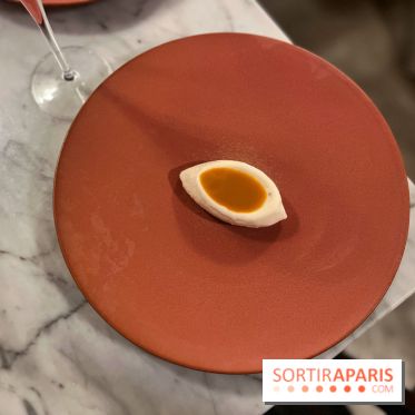 Tracé, Clément Vergeat - Glace reine des prés insert pollen