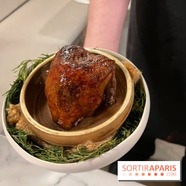 Tracé, Clément Vergeat - Pigeon entier