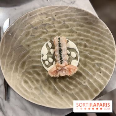 Tracé, Clément Vergeat - Queue de langoustine