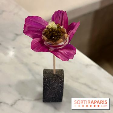 Tracé, Clément Vergeat - Fleur radis caviar