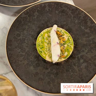 Tracé, Clément Vergeat - Turbot et moules