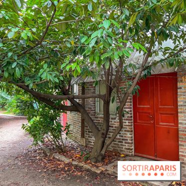 Fondation La Ruche - Seydoux - Cité d'artistes  - image00056