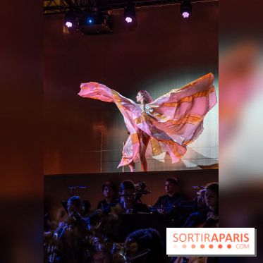 Gold Gala du Ritz, découvrez les photos de la soirée des 125 ans -  A7C1027