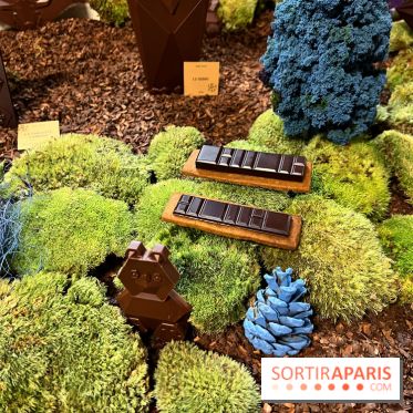 Alain Ducasse - Chocolats de Noël 2023 - 1C8D269F A4D5 4E19 A548 B3633784C155