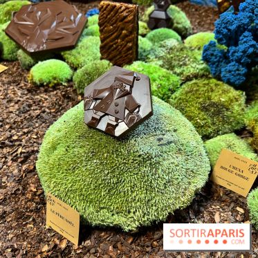 Alain Ducasse - Chocolats de Noël 2023 - 8BD9A8A5 B759 40A3 AD54 BDB4085896B4